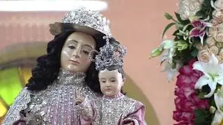 Farmatodo - Divina Pastora 2019