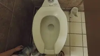 Toilet Tour: Ol' South Pancake House in Fort Worth, TX