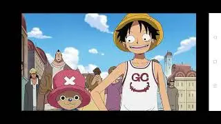 mapache tu abuela one piece ep 317 t13