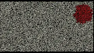 BFS Visualization | 20,000 vertices | Graph Traversal | Python | Pygame