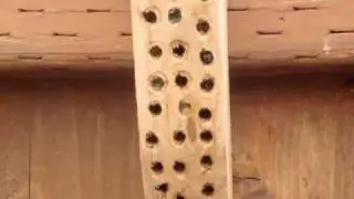 Bee Blocks in action #2