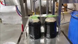 Phenyl 5L Pet Bottle Semi - Automatic Two Head Gravity Filling Machine