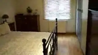 Pel&iacute;cula 97846
