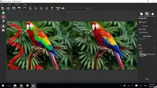 How to Easily Add Selective Coloring Effect using PhotoScissors