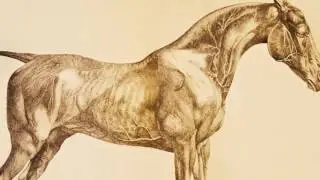 The National Heritage Centre for Horseracing and Sporting Art