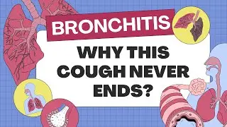 Bronchitis Kya Hai? Symptoms, Treatment & Shocking Reason It&rsquo;s So Common in Pakistan