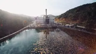 2016년 포항중앙침례교회 홍보영상