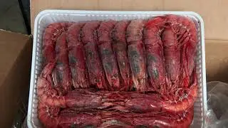 Il gambero rosso di Mazara