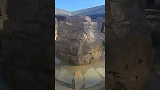 alien technology