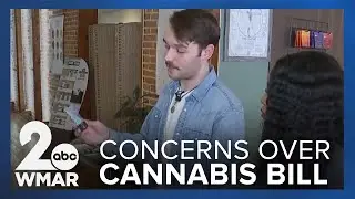 Hemp business owners concerned cannabis reform bill could destroy them