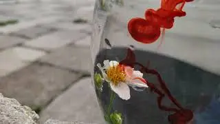 4k Macro ink/water combo