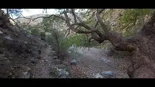 Zakros Gorge, Crete, 12.11.2025 part 3