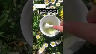 Making natural sage green paint with wasabi and lemon #hanselah #naturalpaint #cottagecore #ecoart