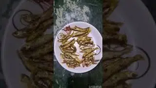 hot fried fish in winter