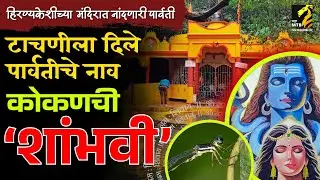 सिंधुदुर्गातील पार्वती टाचणीचा शोध | Protosticta shambhaveei | damselfly vs dragonfly | Maha MTB