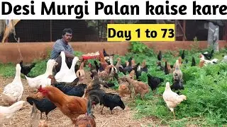 desi murgi palan 2025 Full Information