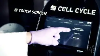 Cell Cycle Analysis with Tali&reg; Image-Based Cytometer