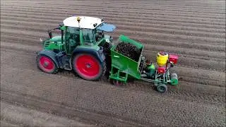 Rabarber planten / Planting rhubarb / Rhabarber pflanzen / Fendt / New Holland