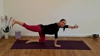 Core-Kraft für Sportler/ Stabilität beginnt in Deinem Zentrum / Woche 5/52 #core #stability 