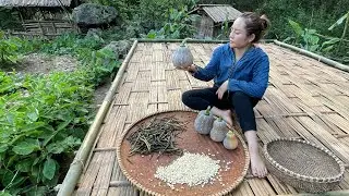 How to build a farm with many food crops, harvest beans and squash. cooking and gardening.EP.46