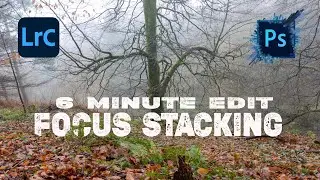 6 Minute Edit: Focus Stacking using Photoshop Auto Tools