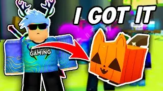 i FINALLY got HUGE PUMPKIN CAT in ROBLOX Pet Simulator X... kinda...