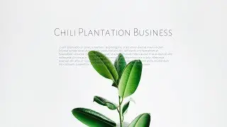 HOW TO MAKE BEAUTIFUL POWERPOINT TUTORIAL - AGRICULTURAL