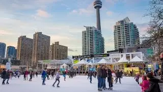 Harbourfront Centre Fall/Winter Programming