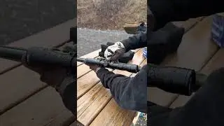 22LR Winchester Wildcat