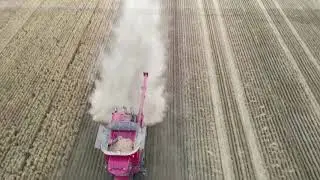 Australian wheat farmers harvest a bumper crop
