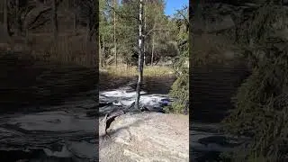 #camping #family #like #live #shortvideo #travel #trip #vanlife #video#shorts#life