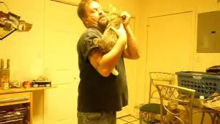 crazy kitty Tig jumping in arms! halarious!