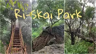 A Rainy Day at Ri-Skai Park | Vertical Video + Drone Shots