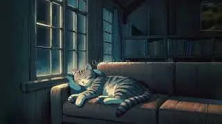 Quiet Nights LoFi: Unwind and De-Stress with Gentle Beats🎶🎶
