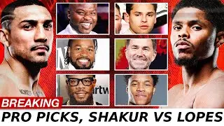 BREAKING: Boxing Pros SHOCKING Predictions on Shakur Stevenson vs Teofimo Lopez!