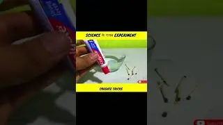 😱 Colgate ke amazing tricks, Facts video #shorts #youtube #factshort #ytshorts