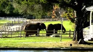 A Tour of Michaels Neverland - New Version