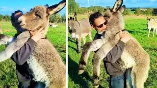 #70 Die besten Videos aller Zeiten || The Best Videos of All Time