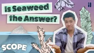 The future of plastic | Scope