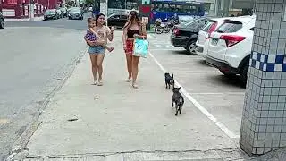 Final do walking dog, O brioco preto depois da Shineray.