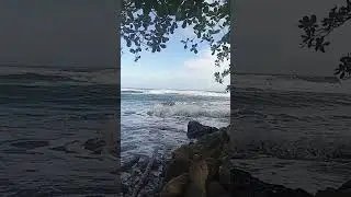 Cahuita, Limon, Costa Rica, #viralvideo #travel #nature #caribbeandream