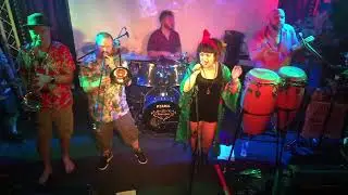 Malavita live at The King Arthur, Glastonbury 2023