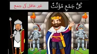 plural in arabic  كُلُّ جَمْعٍ مُؤَنَّثٌ