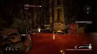 Remnant: Canker (Solo, Apocalypse, No Damage Taken)