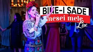 VERONA ADAMS - Bine-i Sade Mesei Mele - LIVE - Solista muzica populara nunti