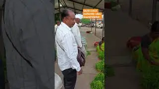 daund Market Nilav 06/07/2024 कोथिंबीर नीलाव