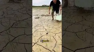 Rare P&ecirc;che Dans La Boue 😳