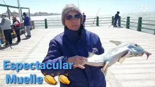 Que bueno sería que a Mar del Plata le hagan un Muelle como el de Mar de Ajo !