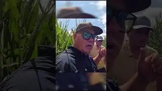 SOUTHERN RUST got YOU and your CORN down?