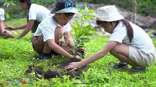 We are delighted to invite you to join our World Environment Council&rsquo;s global network ......#nature